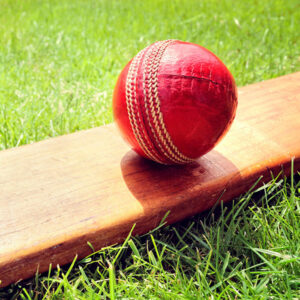 Cricket Weekly Practice